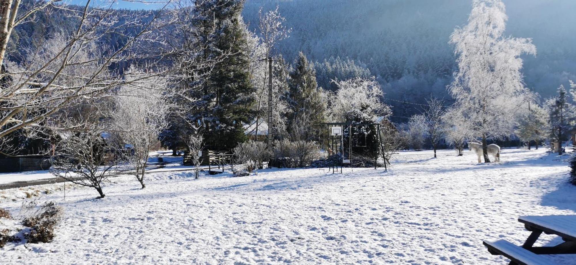 Gite Le Clos Des Vosges Ban-sur-Meurthe-Clefcy Exterior foto