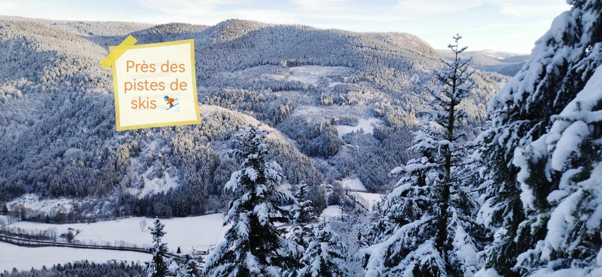 Gite Le Clos Des Vosges Ban-sur-Meurthe-Clefcy Exterior foto