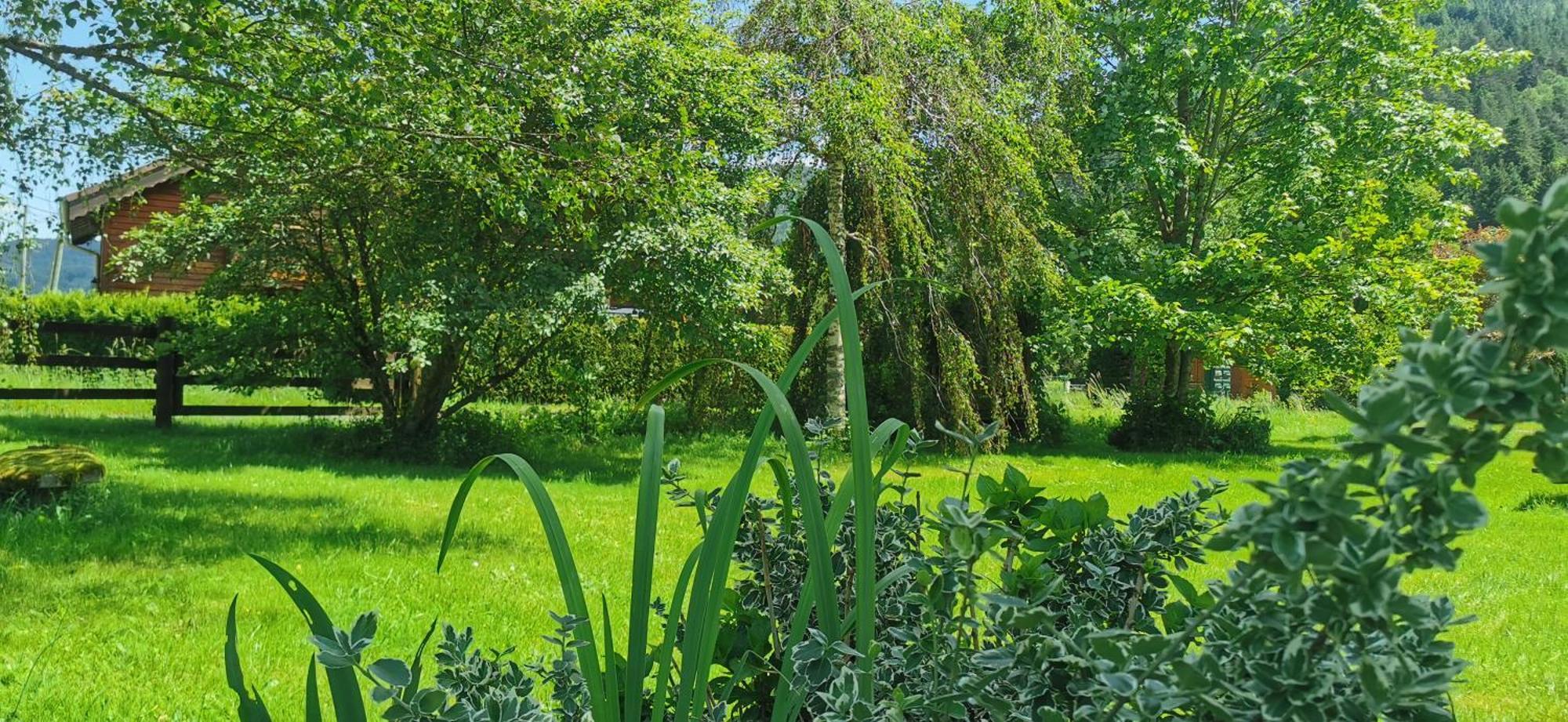 Gite Le Clos Des Vosges Ban-sur-Meurthe-Clefcy Exterior foto